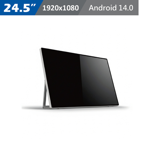 24.5 inch All-in-One