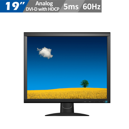 19” Square Screen Monitor 